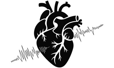 Anatomical Heart Illustration with Blood Vessels