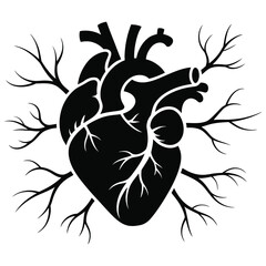 Anatomical Heart Illustration with Blood Vessels