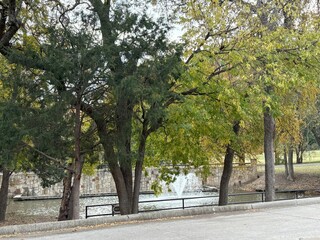 trees in the park, fountain 