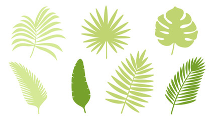 Set of colourful tropical palm leaves vector © Creative vector