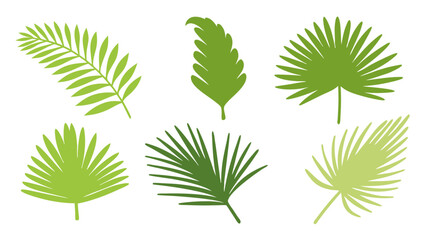 Set of colourful tropical palm leaves vector © Creative vector