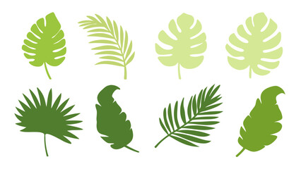 Set of colourful tropical palm leaves vector © Creative vector