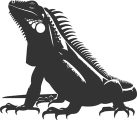Animal vector silhouette of a iguana black illustration drawing
