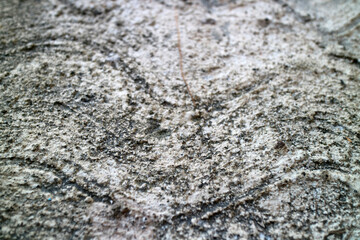 Close Up of Rough Concrete Rock Texture