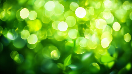 Fototapeta premium Abstract green foliage with soft bokeh lights, evoking nature's tranquil essence