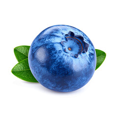 Blueberries on a White Background