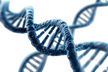 A detailed 3D rendering of three intertwined DNA double helix structures, showcasing their intricate molecular detail and complex interweaving pattern, rendered in shades of blue