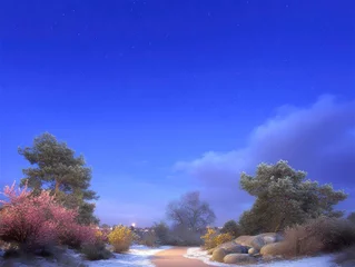 Fototapete Night path through a winter landscape © Fi