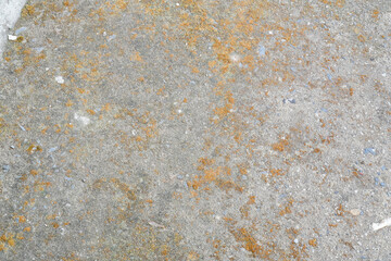 Closeup of damaged and mossy cement street.