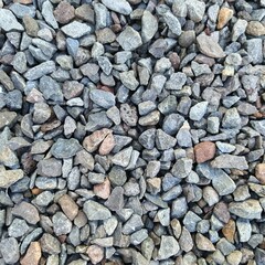 The ground surface is filled with small pebbles in gray, brown, and bluish colors. The stones have...