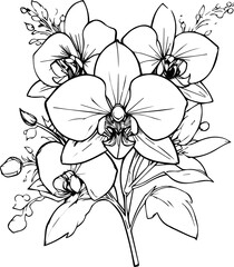 Orchid-shaped outline pattern, vector painting practice