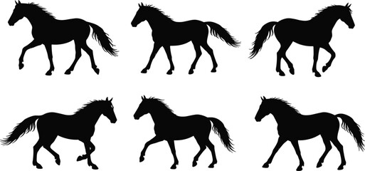 Horse silhouette vector illustration, galloping walking horse pose, black horse icon set, animal outline clipart, wild horse graphic art