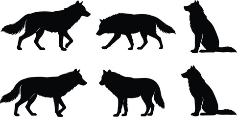 Wolf silhouette collection, wild animal vector illustration, black wolves in walking and sitting poses, forest predator artwork, wildlife design element