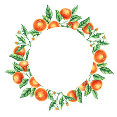 Mandarin watercolor frame isolated on white. Watercolor botanical citrus frame. Illustration for cards, invitations and branding design