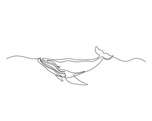 Humpback in the ocean outline drawing illustration. one continuous line drawing of humpback whale.