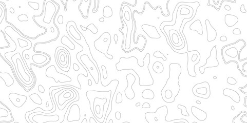 Topography background. Vector banner. Topography background. Topographic map background geographic line map with seamless ornament design.