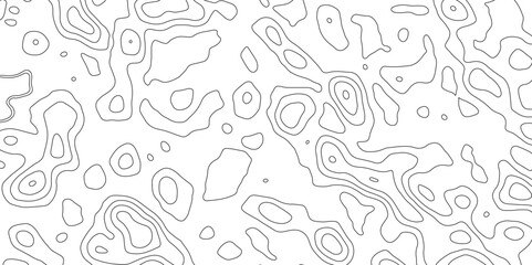 Topography background. Vector banner. Topography background. Vector geographic contour map. Background of the topographic map.