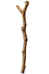 A textured, natural stick with branches protruding at various angles. Png, Transparent background.