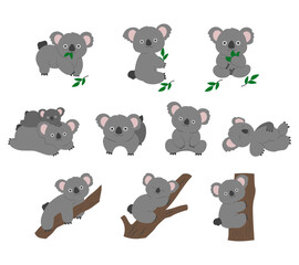 A charming illustration set of cute koala animals in various poses, ideal for children designs, educational materials, and animal themed projects