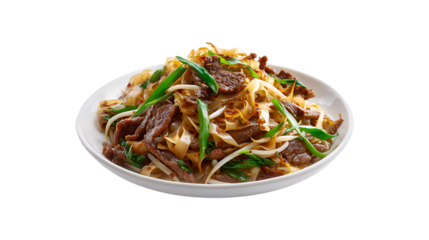 Beef Chow Fun Noodles Stir Fry Asian Cuisine Delicious Food