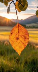 Obraz premium Golden leaf hangs from branch, sunset over field and mountains