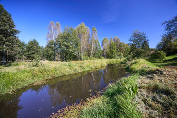 Serene Riverbank Scene with Lush Greenery