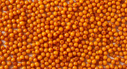 sea buckthorn berries, orange superfood background, healthy organic food