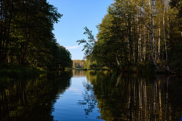 Serene Riverbank Scene with Lush Greenery