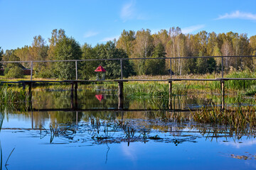 Serene Forest Lake with Wooden Bridge Reflection
