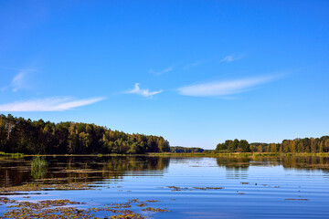 Serene Riverbank Scene with Lush Greenery