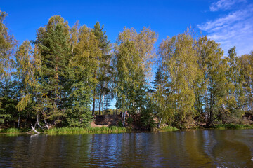 Serene Riverbank Scene with Lush Greenery