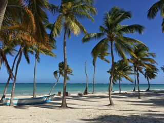 Fototapeta premium Tropical Beach with Palm Trees and Boat
