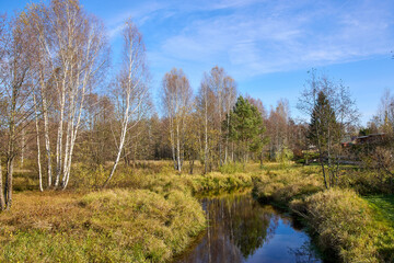 Tranquil view of the river bank in autumn