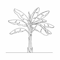 Outline of a banana tree