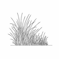 Outline of grass