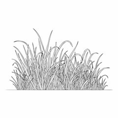 Outline of grass