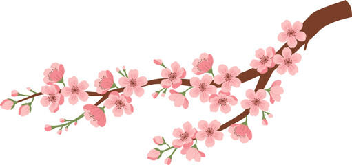 Sakura Branch   © pande/visulaco