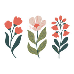 Three floral arrangements isolated on white background