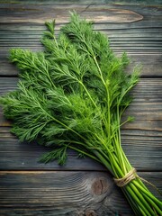 Freshly picked dill weed sprigs
