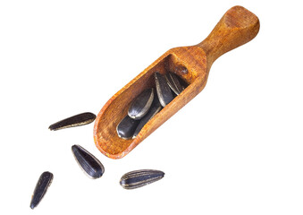 Scattered Sunflower Seeds in Scoop