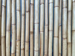 Bamboo wall decoration ideas for interior wall design. Bamboo wall background and texture
