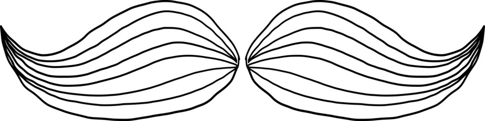 Moustache trendy styles. Mustache curly horseshoe imperial pencil english pyramid italian and vintage narrow french walrus brush male hipster modern fashion. Chevron vector.