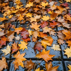 A ground covered in fallen maple leaves with a variety of colors after a rain shower in autumn season