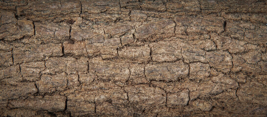 Tree bark pattern for background work