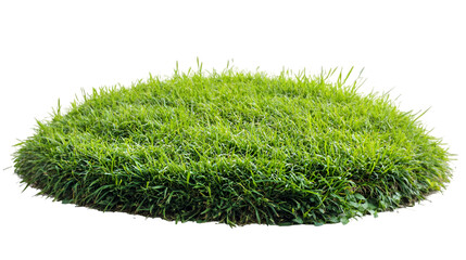 Fototapeta premium Isolated green grass patch for landscaping design element lawn turf ground texture garden nature outdoor transparent background png