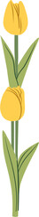 Tulip Vector Illustration