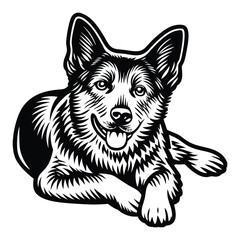 Pitbull dog vector illustration in black and white