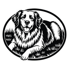 Pitbull dog vector illustration in black and white