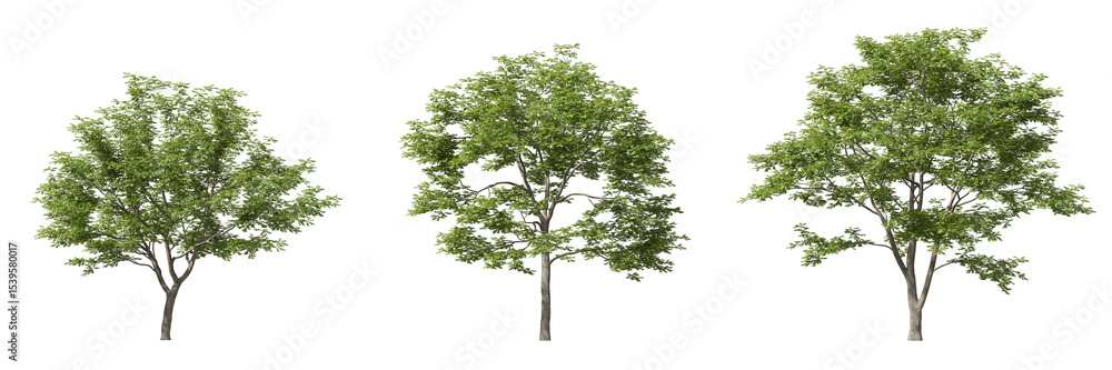 Aufkleber cut out realistic greenery trees collection on transparent backgrounds. high quality 3d rendering. p
