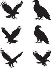 Majestic Eagle Silhouette Vector Collection